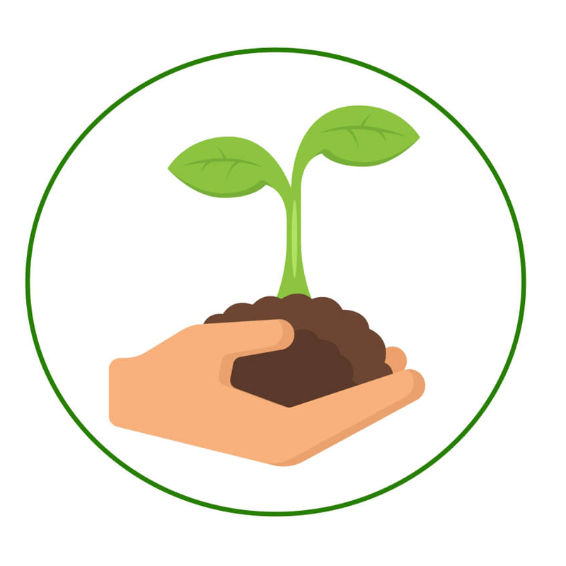 En Plantem Arbres somos sostenible con el medio ambiente,